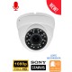 Telecamera Dome POE (Power over ethernet) - Telecamera - MEGA 21 EDV